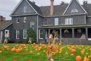 Grey house with pumpkins on the yard
