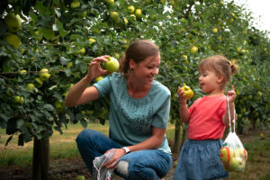 Mother and toddler picking apples in an orchard