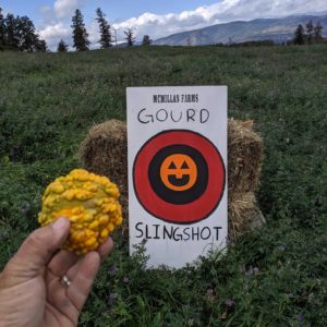 gourd held in a hand in front of a poster explaining the game 